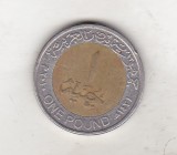 Bnk mnd Egipt 1 lira 2010 bimetal, Africa