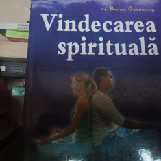 VINDECAREA SPIRITUALA - DR BRUCE GOLDBERG, TEORA 2007, 264 PAG
