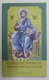 FLORILEGIU PATRISTIC - DESPRE SFINTELE ICOANE , selectie de PREOT ADRIAN AGACHI , 2017 * PREZINTA HALOURI DE APA