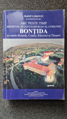 ARC PESTE TIMP. BONTIDA - Aurel Losonti 2014 foto