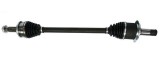 MTR 12191902 Planetara