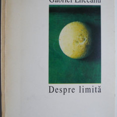 Despre limita – Gabriel Liiceanu