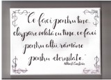 Tablou Reproducere Albert Einstein, Citat Motivational, Panza cu Rama Lemn, 24x18 cm