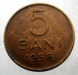 7.307 ROMANIA RPR 5 BANI 1956