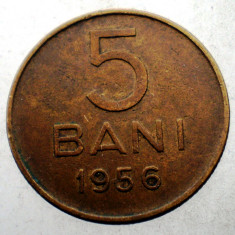 7.307 ROMANIA RPR 5 BANI 1956