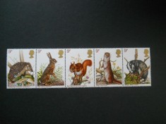 A2 SERIE MAREA BRITANIE FAUNA