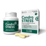 Cumpara ieftin CondroSTRESS+, 60 tablete, Innovet