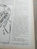 Cumpara ieftin AVANGARDA, Ziarul &quot;Orizont&quot;, 1945, Director Sasa Pana, nr 5