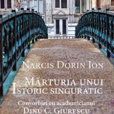 Marturia unui istoric singuratic - Narcis Dorin Ion