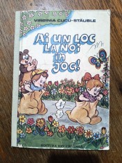 Ai un loc la noi in joc - Virginia Cucu Stauble / C0G