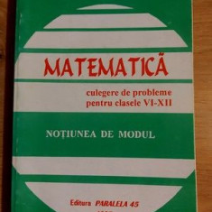 Matematica. Culegere de probleme pentru clasele 6-12 Notiunea de modul- Dumitru Savulescu, Mariana Andrusca