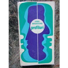 Profiluri- Virgil Bradateanu