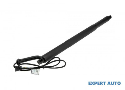 Telescop hayon BMW X4 (04.2014-&amp;gt; )[F26] #1 foto