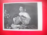 HOPCT 23011 FATSA CU LAUTA/ MICHELANGELO --MUZEUL ERMITAJ - --RUSIA- -CP PICTURA -NECIRCULATA