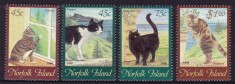 NORFOLK 1998 FAUNA ANIMALE DOMESTICE PISICI foto