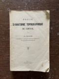 O. Navez Precis d Anatomie Topographique du Cheval (1921)