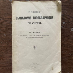 O. Navez Precis d Anatomie Topographique du Cheval (1921)