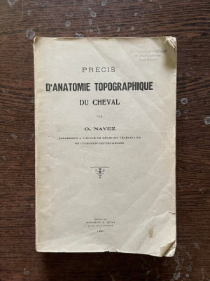 O. Navez Precis d Anatomie Topographique du Cheval (1921) foto