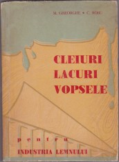 M. Gheorghe Cleiuri Lacuri Vopsele pentru Industria lemnului