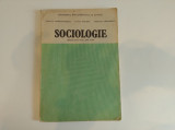 Sociologie. Manual pentru lucru, clasa a X-a. Constantinescu, Stoleru