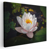 Tablou floare de lotus alba Tablou canvas pe panza CU RAMA 40x60 cm