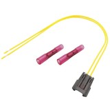 Wi&iuml;&iquest;&frac12;Zka Elektryczna Wtryskiwaczy Honda/Kia/Vw 2 Przew. 451838 RKTS0036