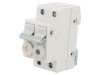 Separator cu Fuzibil 10x38mm pentru Șină DIN 20A 400V 2 Poli, Hager