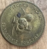 MEDSTR02 MEDALII Pitcher plant 1949 newfoundland