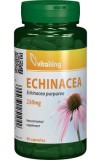 Echinacea 400mg Vitaking 100cps