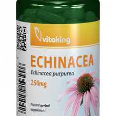 Echinacea 400mg Vitaking 100cps