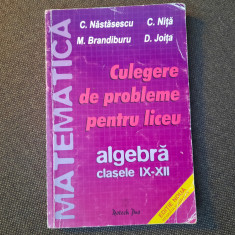 CULEGERE DE PROBLEME PENTRU LICEU CLASELE IX-XII C NASTASESCU 2004 -1/1