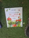 &Icirc;nt&acirc;mplări cu trei pisici. Miau, Miorlau şi Miaunici - Simona Epure