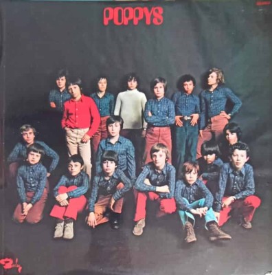 Disc vinil, LP. Poppys-Poppys-242140 foto