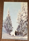 QW25 M - Carte postala - tematica turism - vedere - Masivul Postavarul 2 - 1962