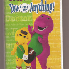 Casete video VHS - Barney's - You can be Anything - Limba Engleza