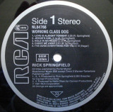 Rick Springfield - Working Class Dog (Vinyl), VINIL, Rock