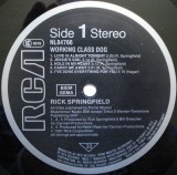 Rick Springfield - Working Class Dog (Vinyl), VINIL, Rock