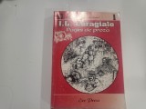 Pagini de proza de I.L.Caragiale