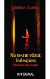 Nu te-am vazut indeajuns. Povestea unei iubiri - Stelian Turlea