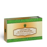 SET COENZIMA Q10&amp;ACID HIALURONIC 12BUCX2ML