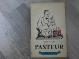 Pasteur de Petre Tautu