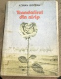 LITR14 0442 Literatura - Adrian Bocsan - Trandafirul din nisip