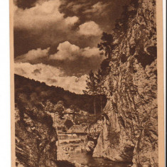 CPIB 17506 CARTE POSTALA - BICAZ. VEDERE, LIBRARIA NOASTRA