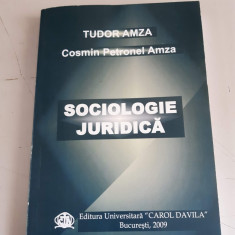 Sociologie juridica - Tudor Amza
