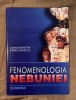 Fenomenologia nebuniei - Constantin Enachescu, Paideia, 2003, Psihologie, 260 pagini, ISBN 973-596-106-7