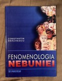 Constantin Enachescu - Fenomenologia nebuniei