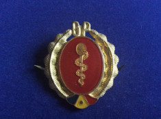 Insigna militara - Garzi Patriotice - Romania - Medicina - Sanitar - GP - 1970 foto