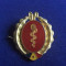 Insigna militara - Garzi Patriotice - Romania - Medicina - Sanitar - GP - 1970