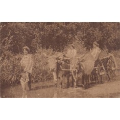 Carte postala circulata din anul 1915