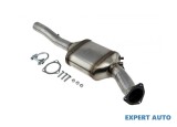 Filtru de particule Audi A6 Allroad quattro (2006-2008) [4F, C6] #1, Array